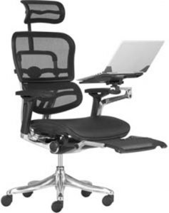 Főnöki szék Ergohuman Plus #1
